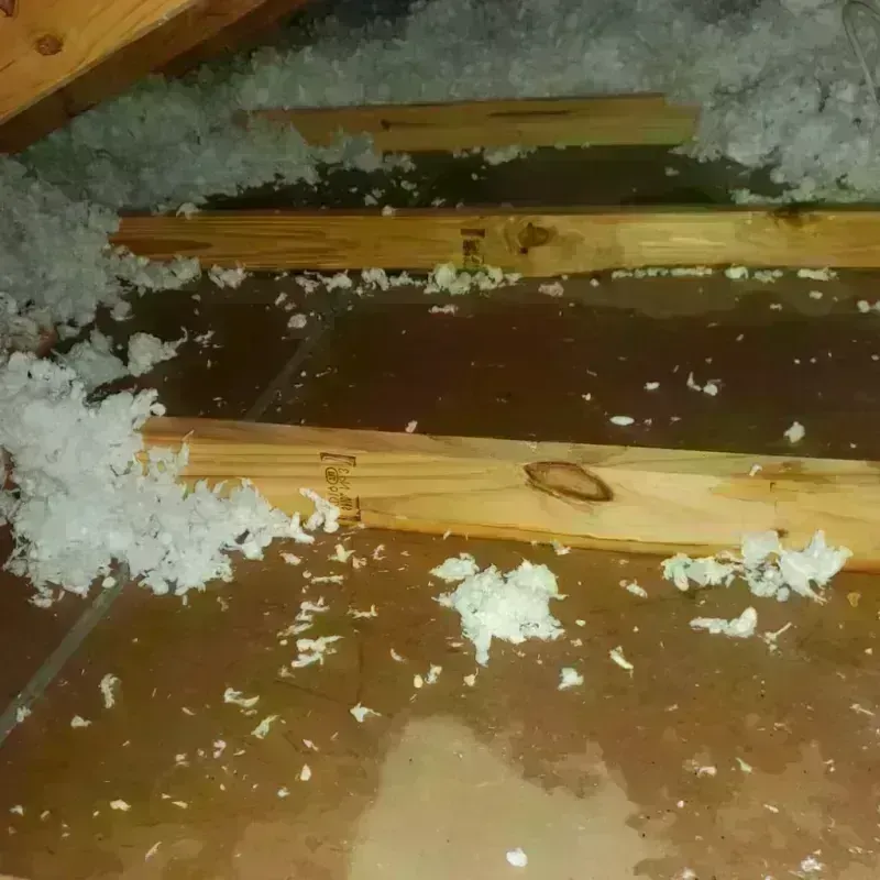 Attic Water Damage in Pioneer Village, KY